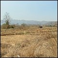 Thailand209.jpg