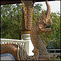 Thailand211.jpg