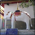Thailand242.jpg