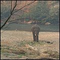 Thailand255.jpg