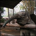 Thailand257.jpg