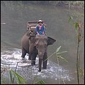 Thailand261.jpg