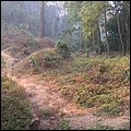 Thailand263.jpg