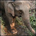 Thailand265.jpg