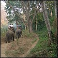 Thailand267.jpg