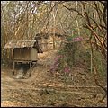 Thailand272.jpg