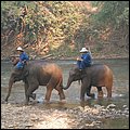 Thailand275.jpg
