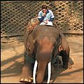 Thailand276.jpg