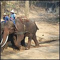 Thailand277.jpg