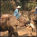 Thailand279.jpg