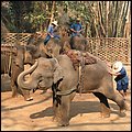 Thailand280.jpg