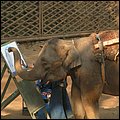 Thailand281.jpg