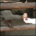 Thailand283.jpg