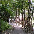 Thailand294.jpg