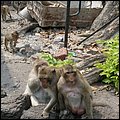 Thailand322.jpg