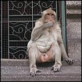 Thailand327.jpg