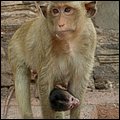 Thailand329.jpg