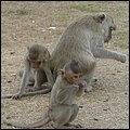 Thailand331.jpg