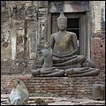 Thailand332.jpg
