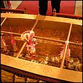 Thailand335.jpg
