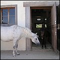 Aiderbichl018.jpg