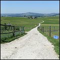 Aiderbichl019.jpg