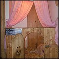 Aiderbichl023.jpg
