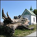 Aiderbichl028.jpg