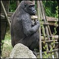 Hellabrunn009.jpg