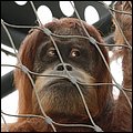 Hellabrunn014.jpg