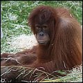 Hellabrunn015.jpg