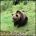 Hellabrunn033.jpg