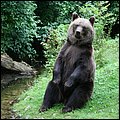 Hellabrunn035.jpg
