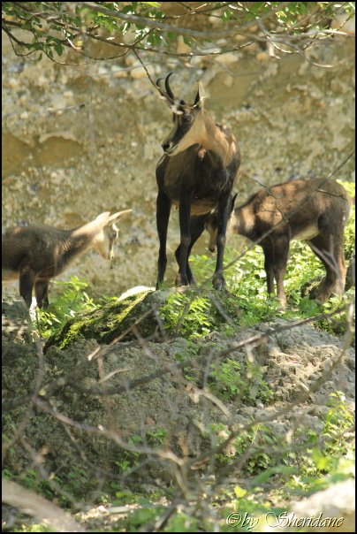 Hellbrunn006.jpg