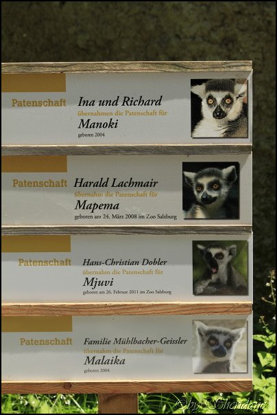 Hellbrunn039.jpg