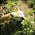 Hellbrunn003.jpg