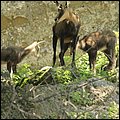 Hellbrunn006.jpg