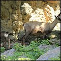 Hellbrunn007.jpg