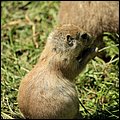 Hellbrunn009.jpg