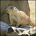 Hellbrunn012.jpg