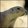 Hellbrunn013.jpg