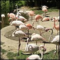 Hellbrunn017.jpg