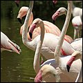 Hellbrunn018.jpg