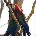 Hellbrunn019.jpg
