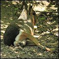 Hellbrunn020.jpg