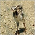 Hellbrunn023.jpg