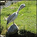 Hellbrunn029.jpg