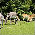 Hellbrunn031.jpg