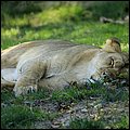 Hellbrunn032.jpg