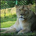 Hellbrunn034.jpg